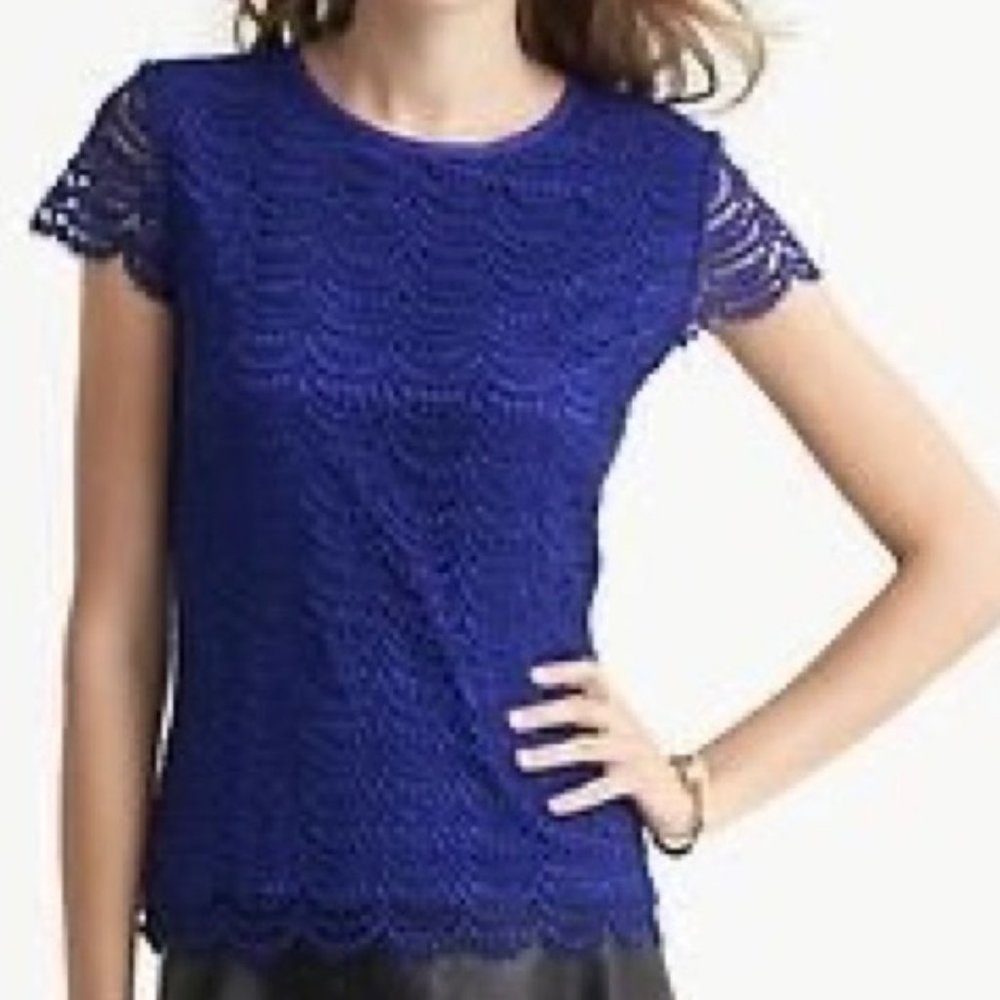 Banana Republic Blue Lace Blouse